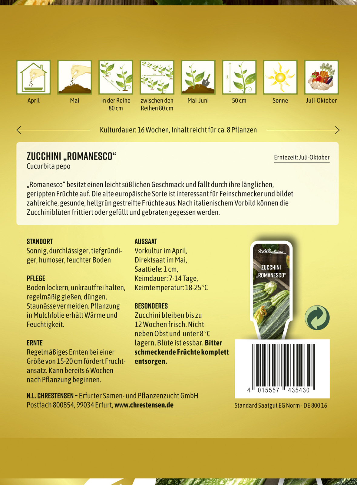 Rullkõrvits Romanesco S