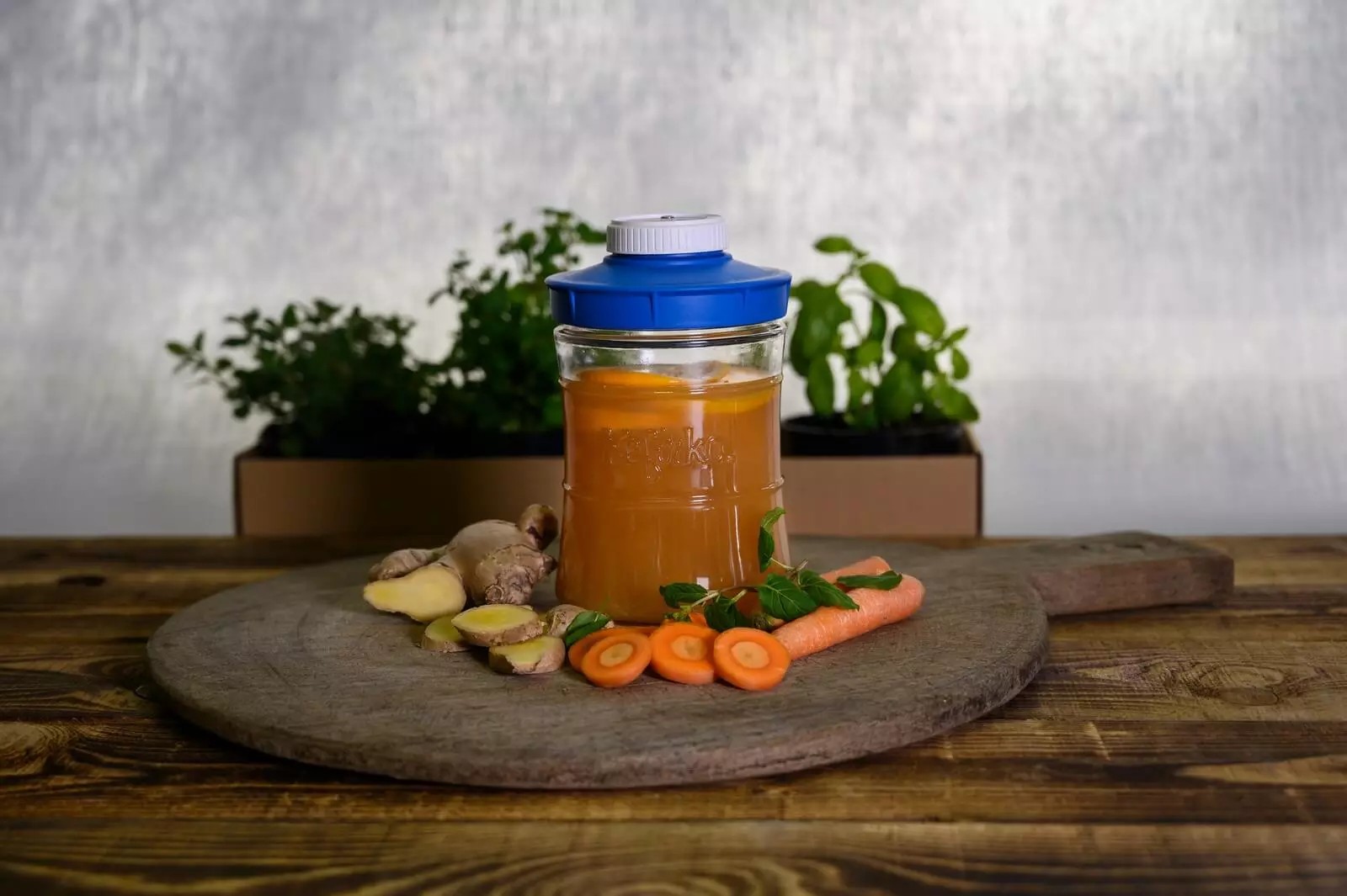 II fermenteerimise anum korgi ja kellaga, 900ml helesinine, Kefirko