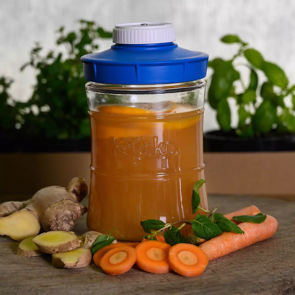 II fermenteerimise anum korgi ja kellaga, 900ml helesinine, Kefirko