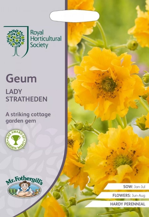 Tšiili mõõl Lady Stratheden 50s