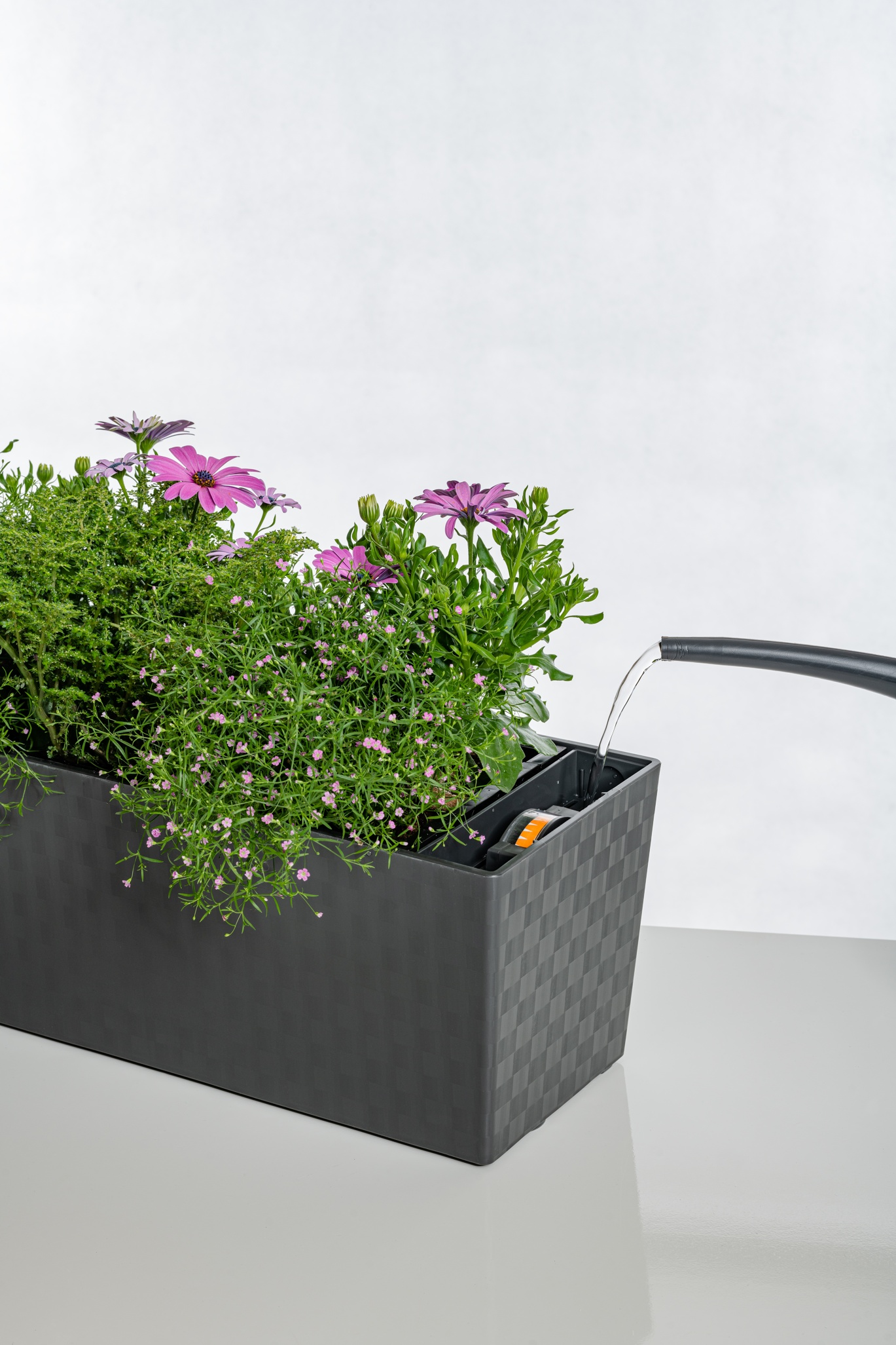 Taimekast altkastmisega Supreme antratsiit 75cm