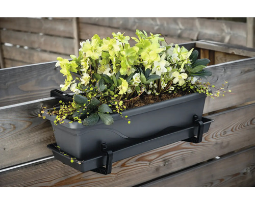 Rõdukastihoidik plastist Vista 18 antratsiit