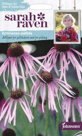 Kahkjas siilkübar 50s