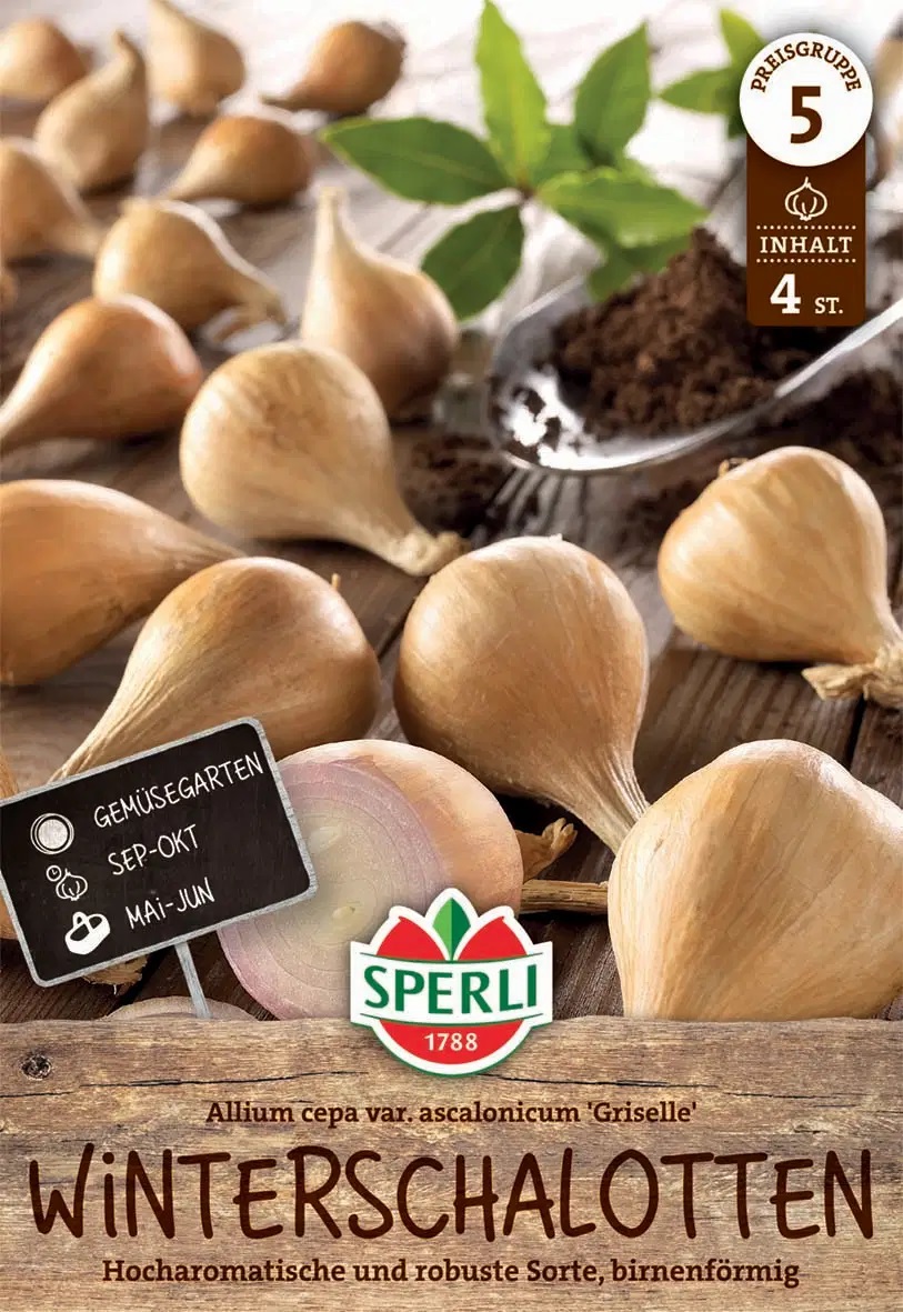 Tali-shalottsibul Griselle 4 tk