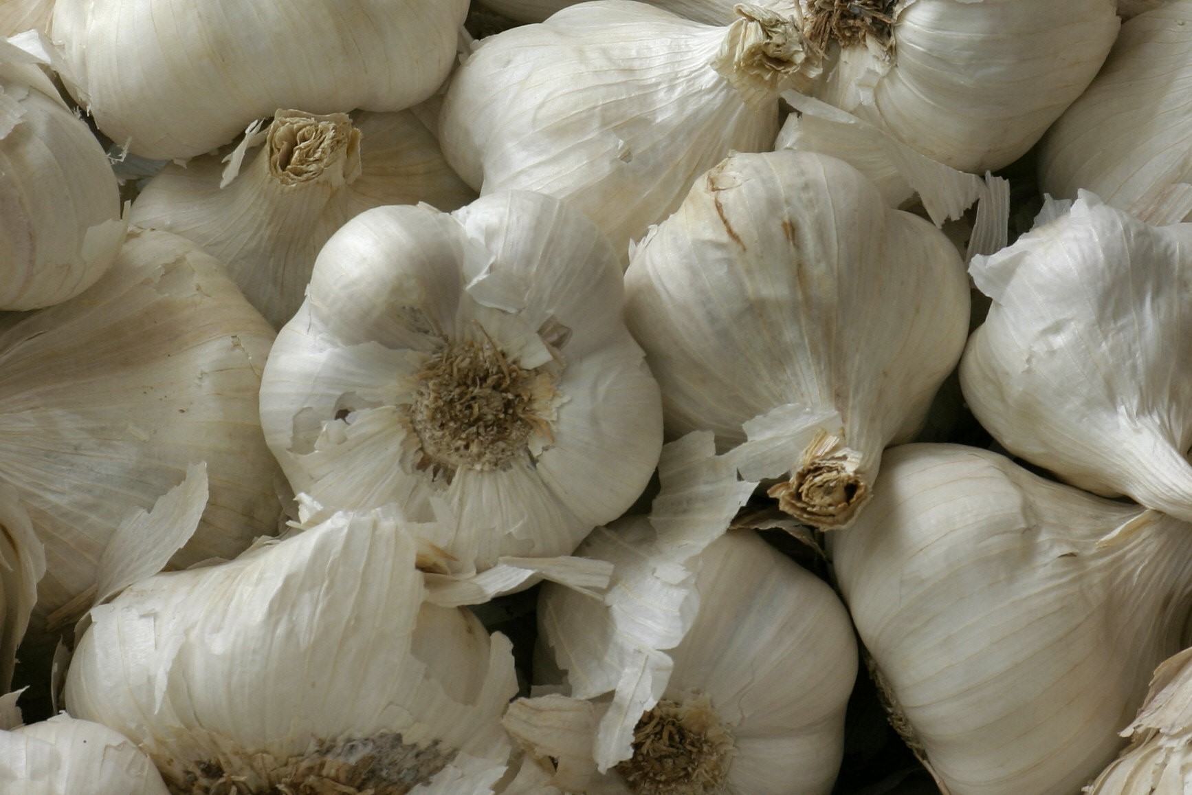 Eesti küüslauk 1 kg