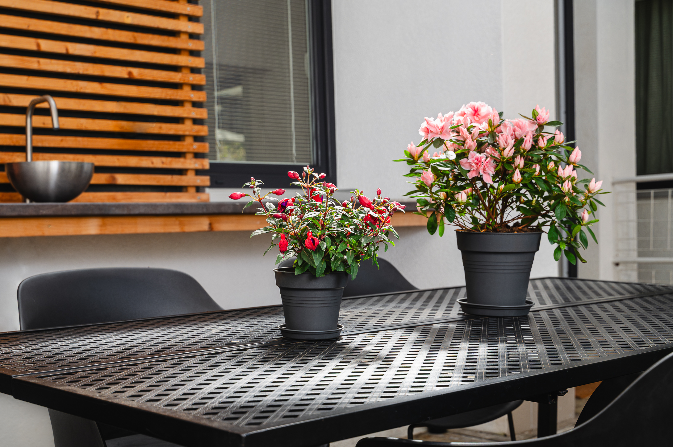 Alustaldrik plastist Camelie 20 cm antratsiit