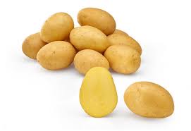 Seemnekartul Lilly 5 kg