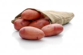 Seemnekartul Red Lady 5 kg