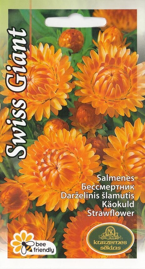 Käokuld oranž Swiss Giant 0,3 g