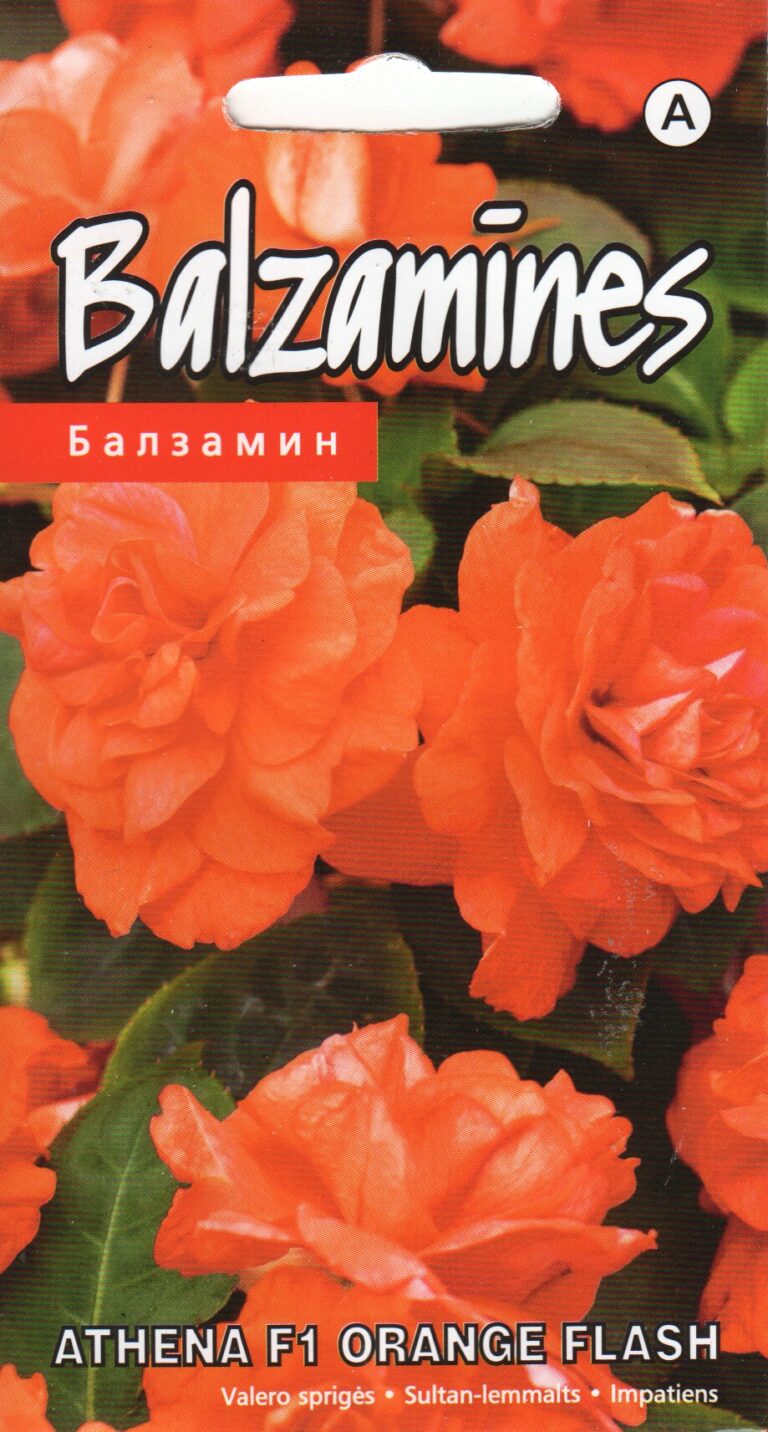 Sultan-lemmalts Athena Orange Flash 5 s