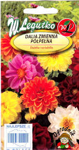 Aeddaalia Unwins segu 1 g