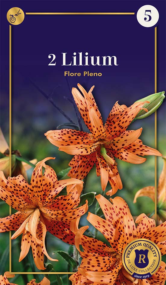 Liilia Flore Pleno 2 tk