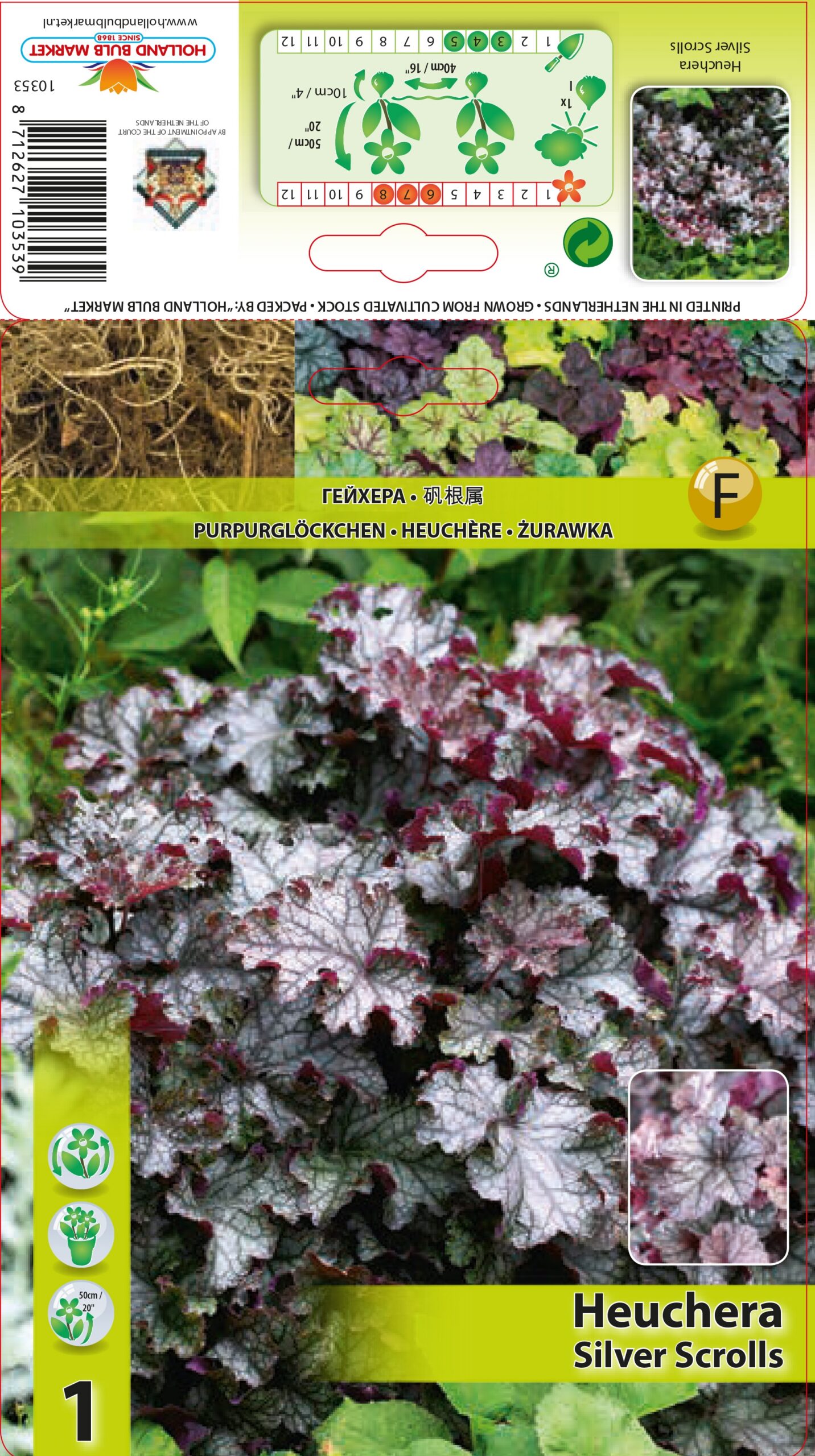 Helmikpööris Silver Scrolls 1 tk