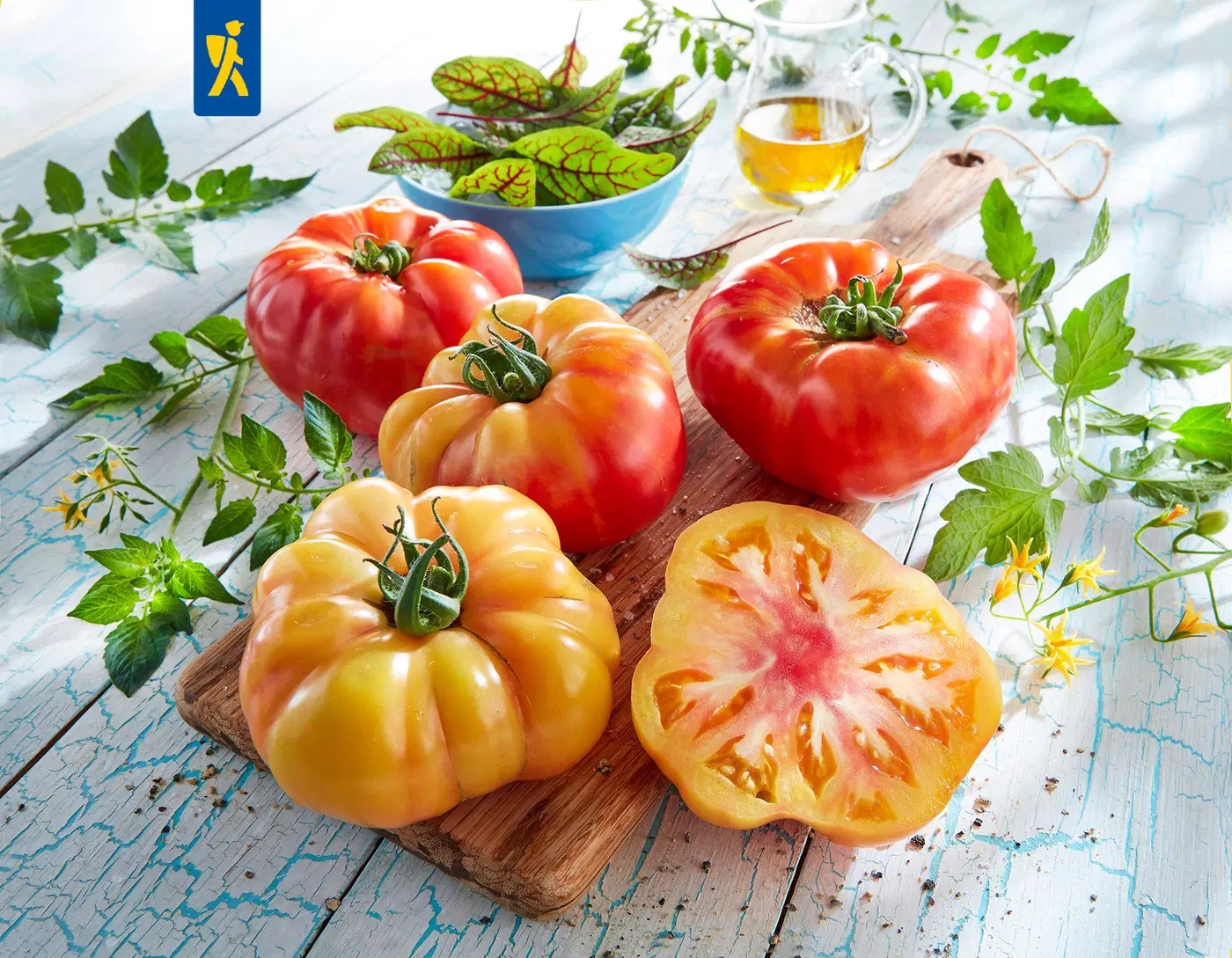 Tomat Buffalosun F1 S