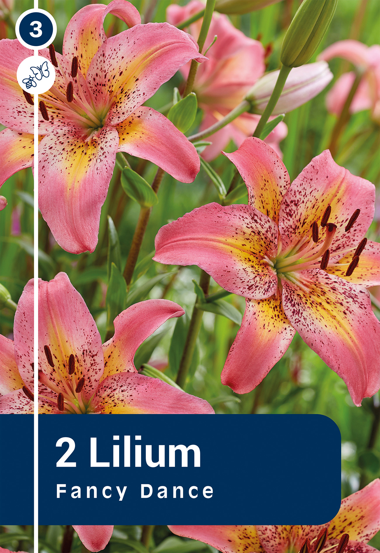 Liilia Fancy Dance 2 tk