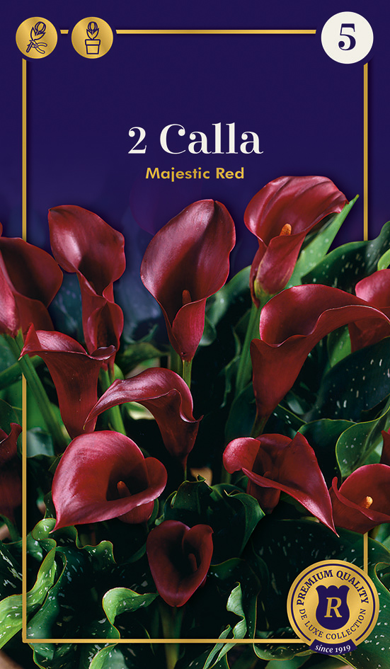 Kalla Majestic Red 2tk