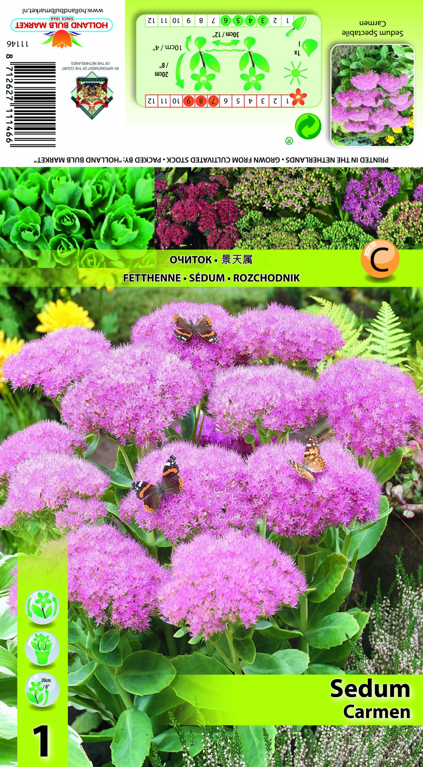 Kaunis kukehari Carmen 1tk