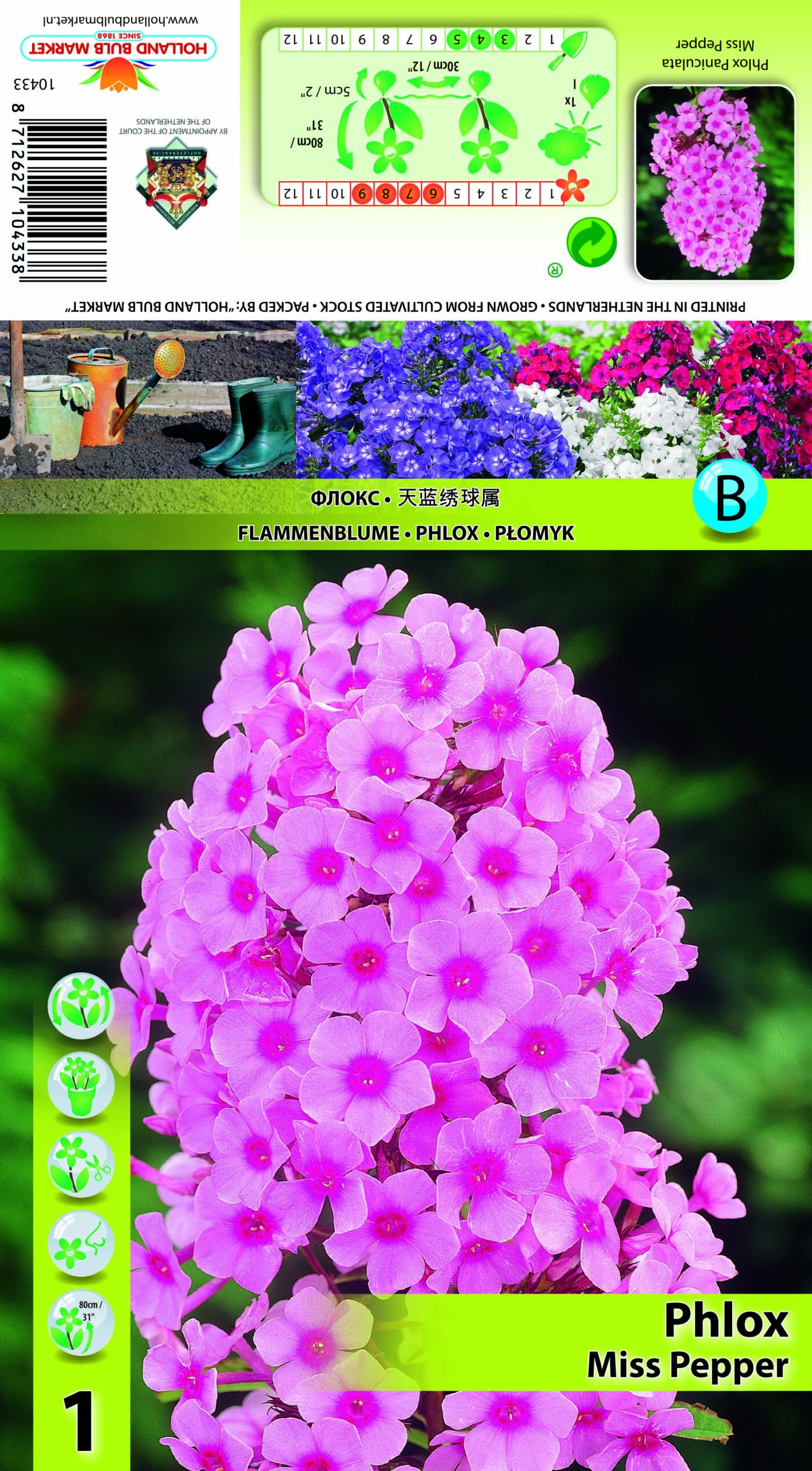 Floks Miss Pepper 1tk