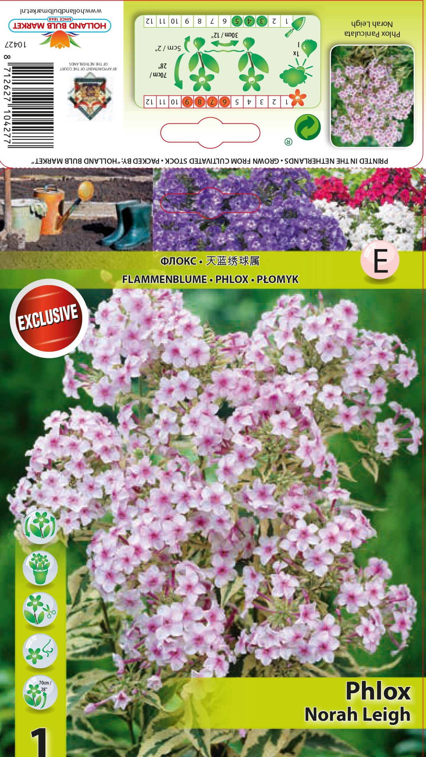 Floks Nora Leigh 1 tk