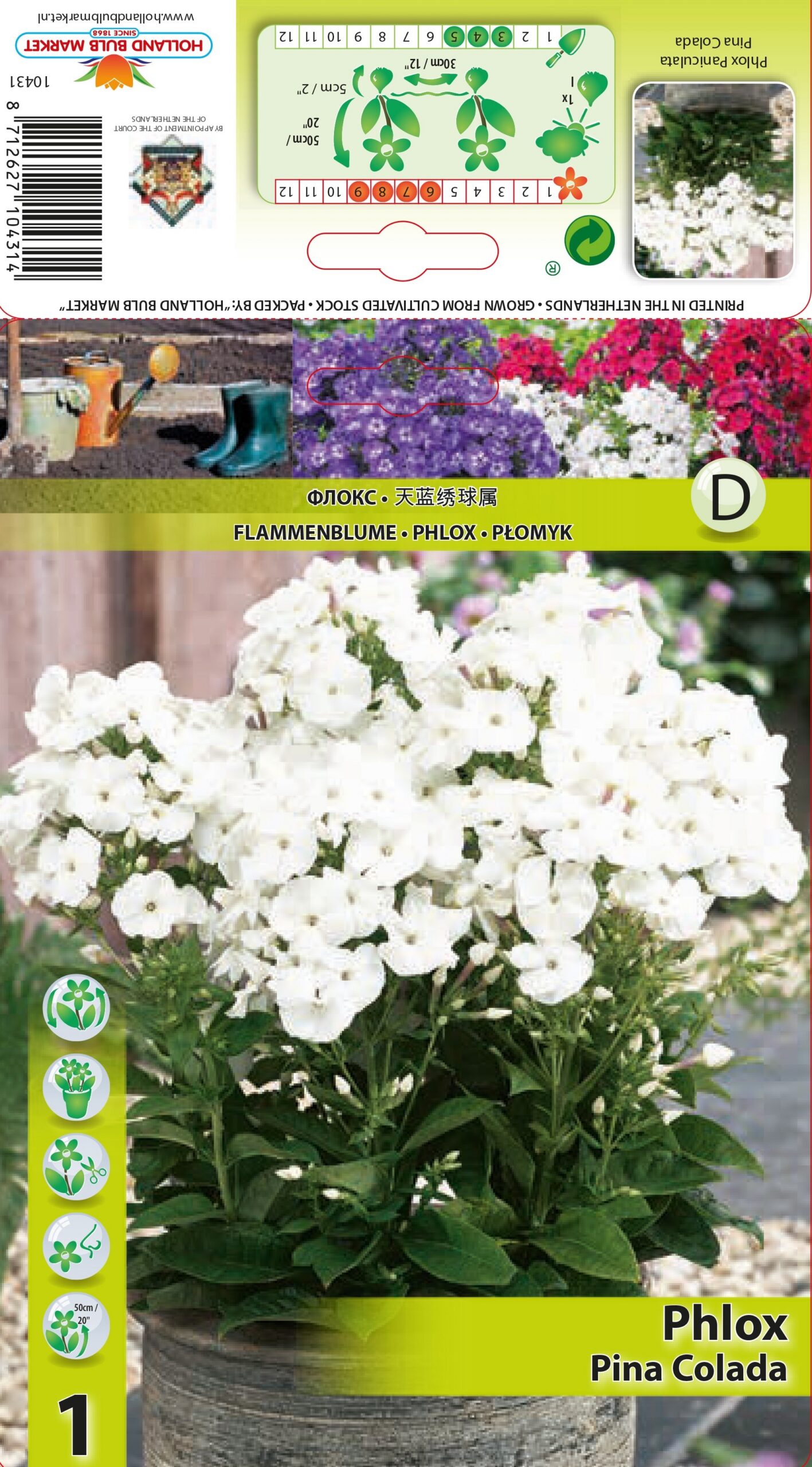 Floks Pina Colada 1 tk