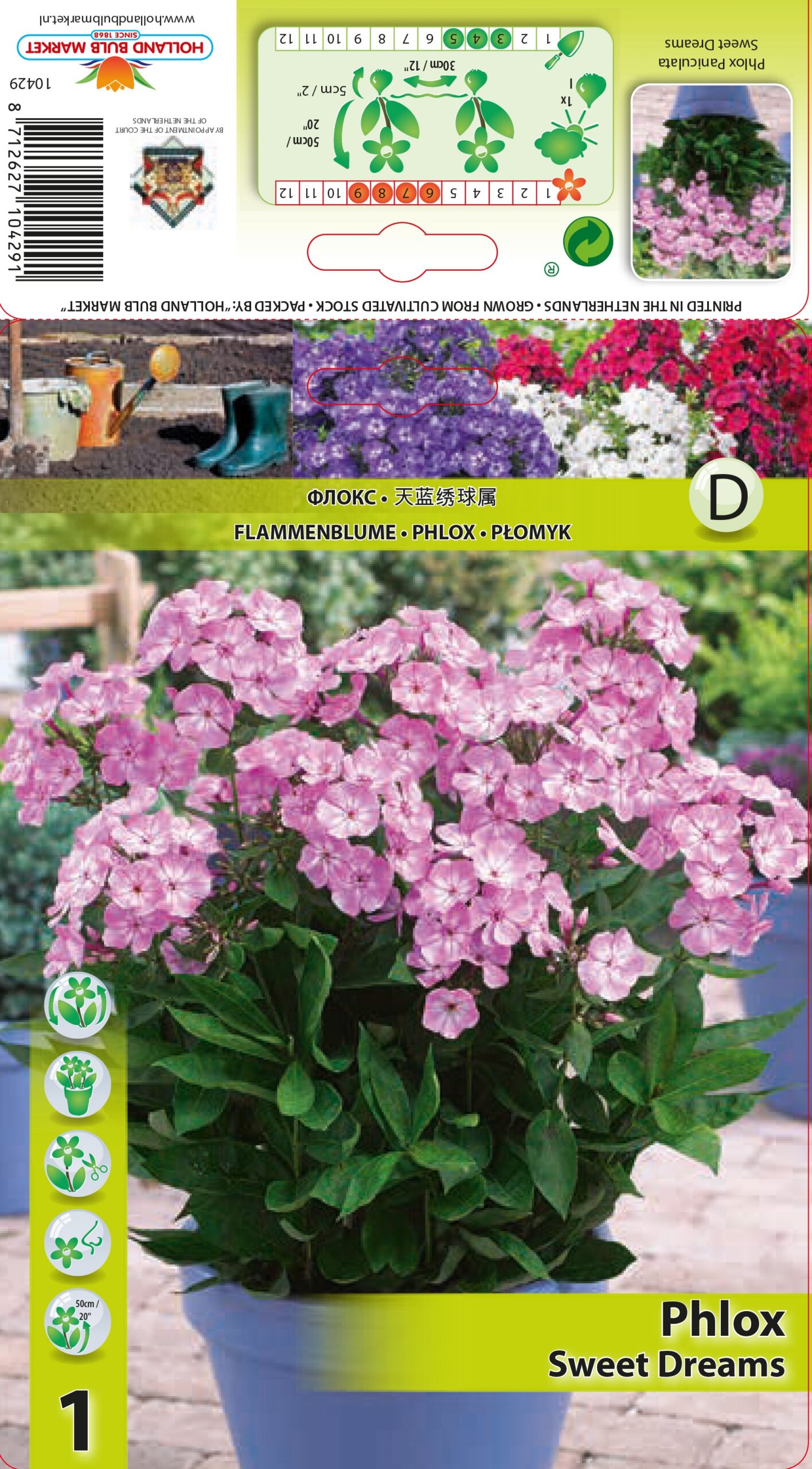 Floks Sweet Dreams 1 tk