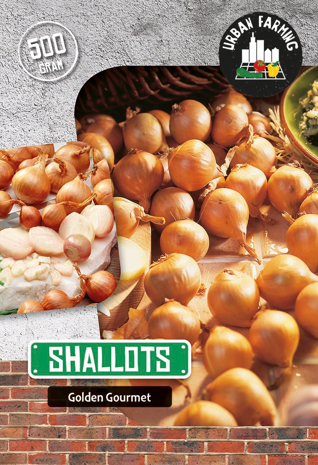 Pesasibul Golden Gourmet 500 g