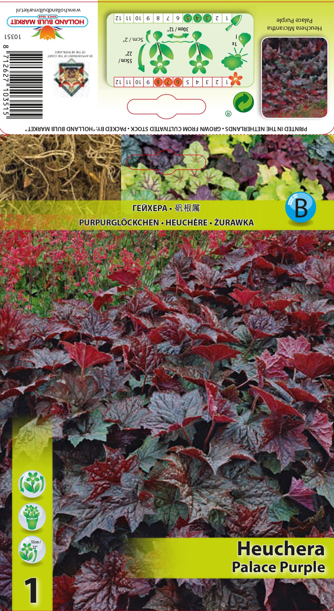 Helmikpööris Palace Purple 1 tk