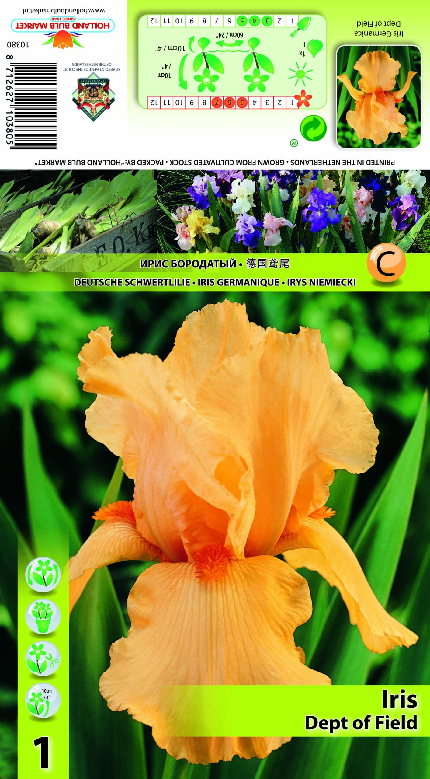 Iiris Dept of Field 1 tk