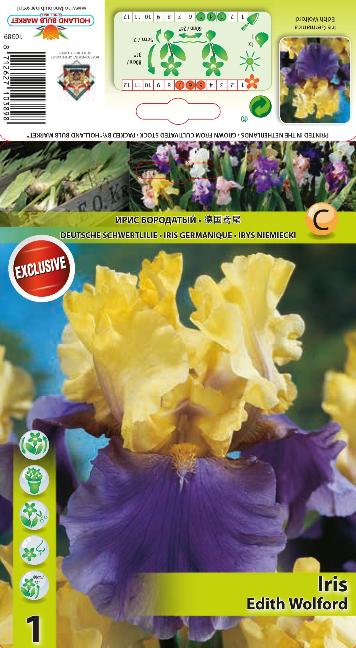 Iiris Edith Wolford 1 tk