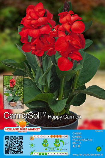 Kanna Cannasol Happy Carmen 1 tk