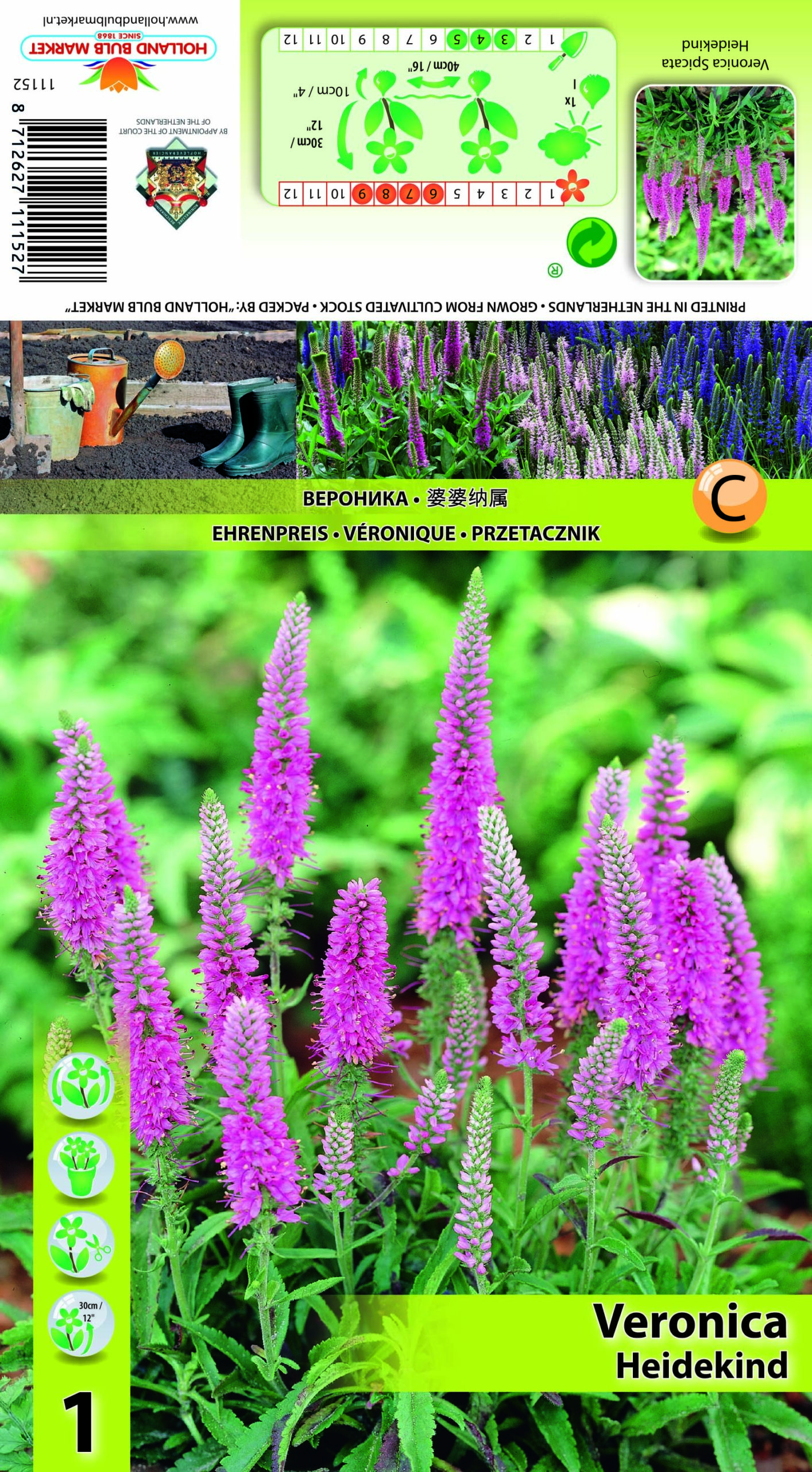 Kassisaba Heidekind 1 tk