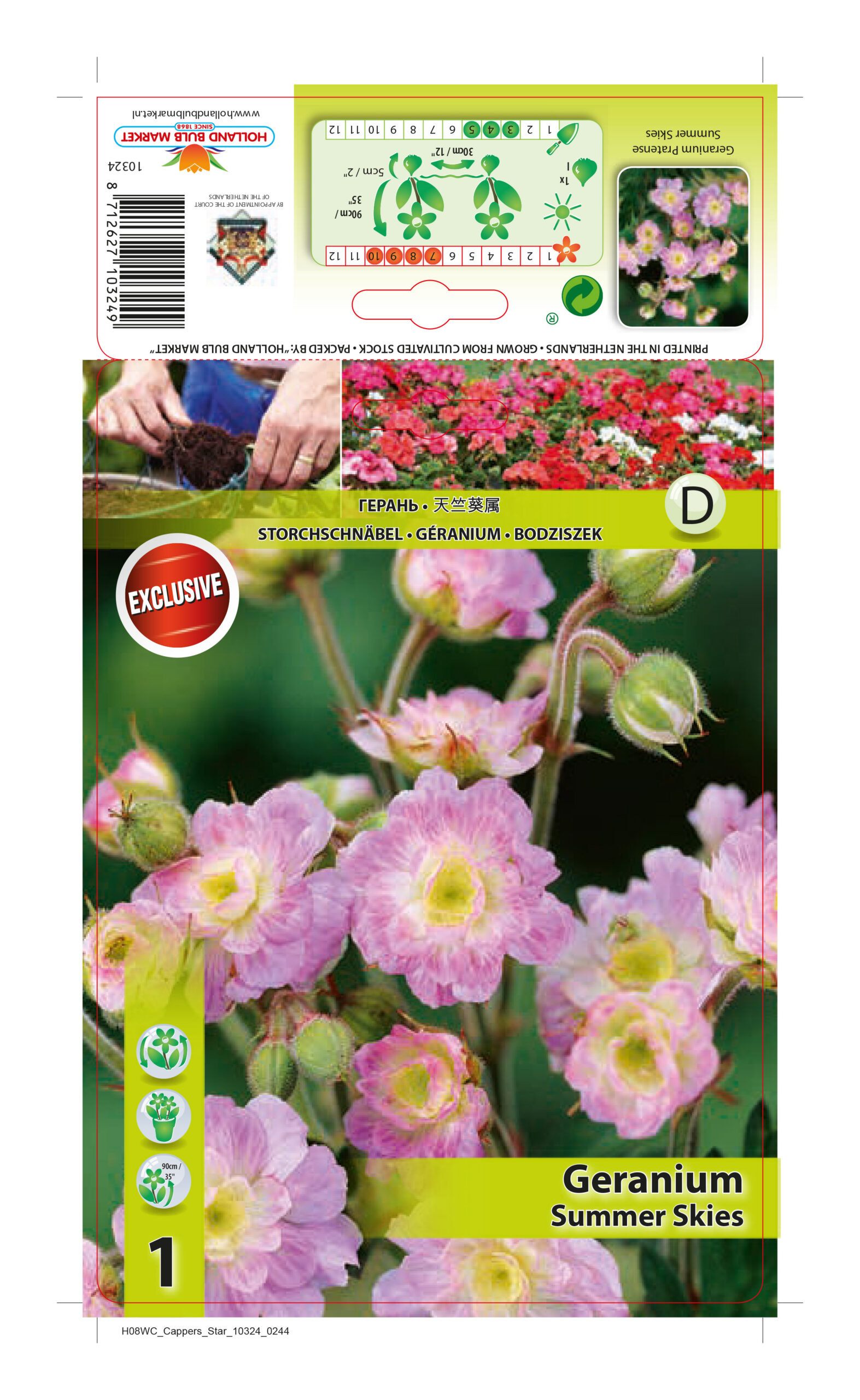 Aas  - kurereha Summer Skies 1 tk