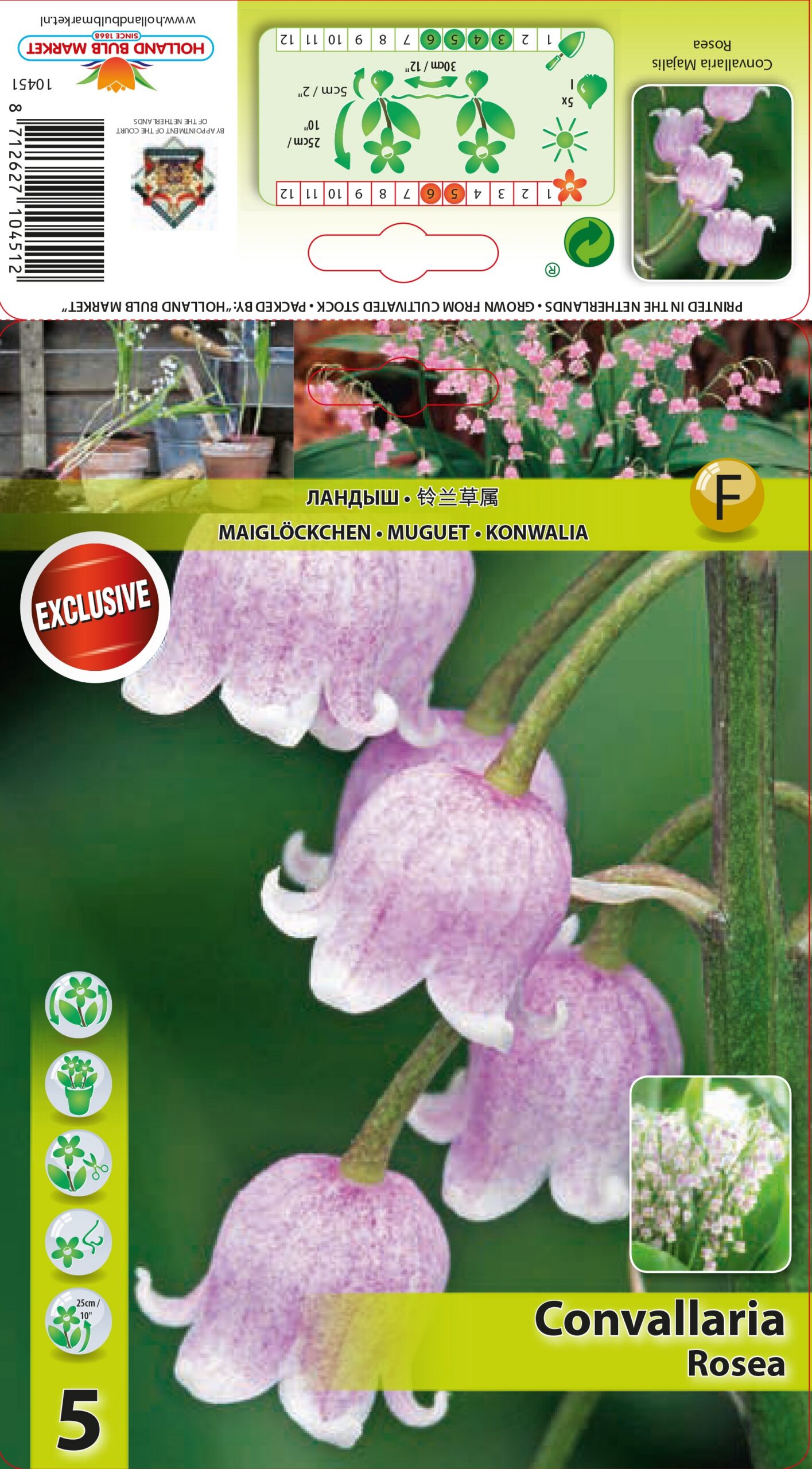 Maikelluke Rosea 5 tk