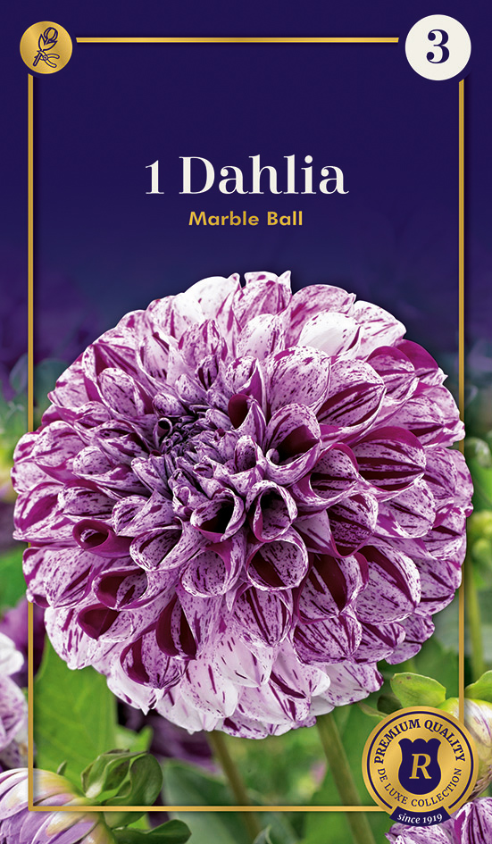 Daalia Marble Ball 1tk