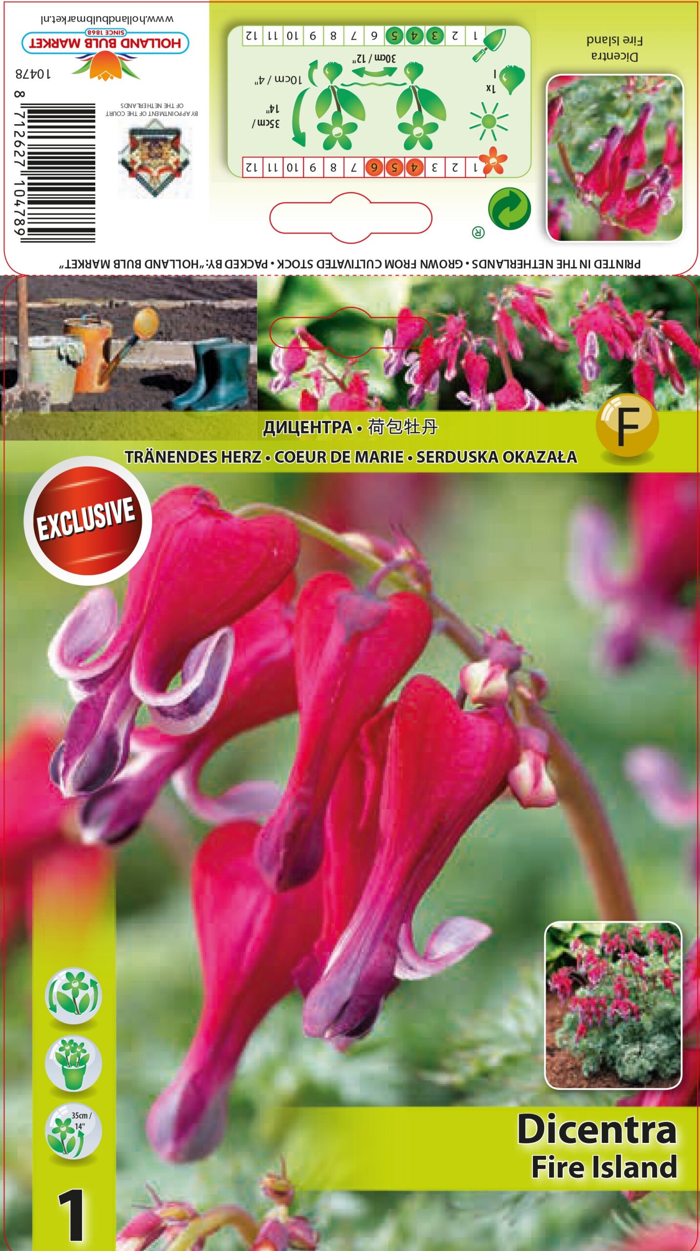 Murtudsüda Fire Island 1 tk