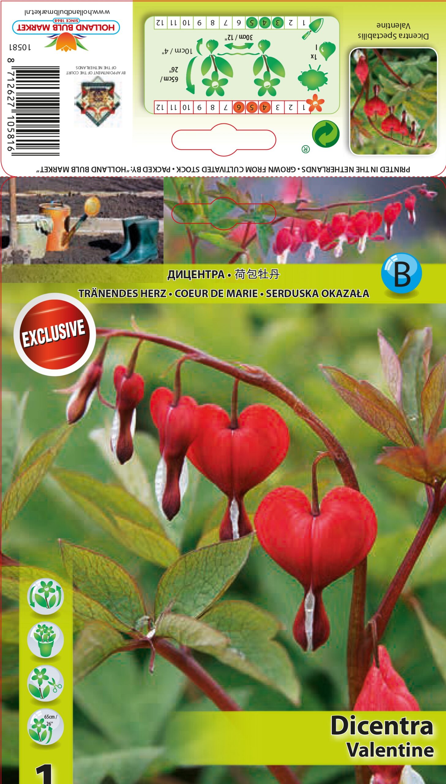 Murtudsüda Valentine 1 tk