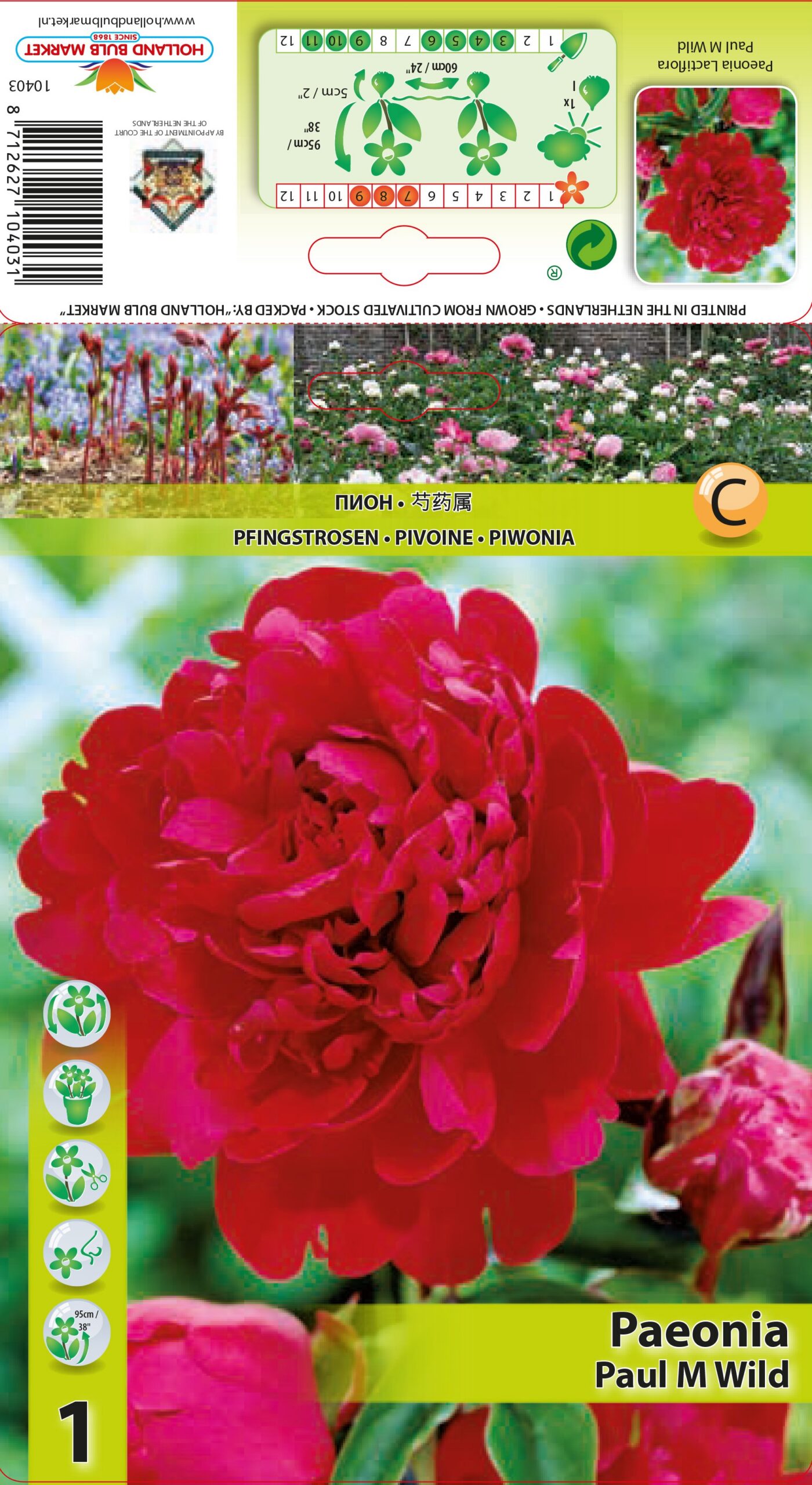 Pojeng Paul M Wild 1 tk