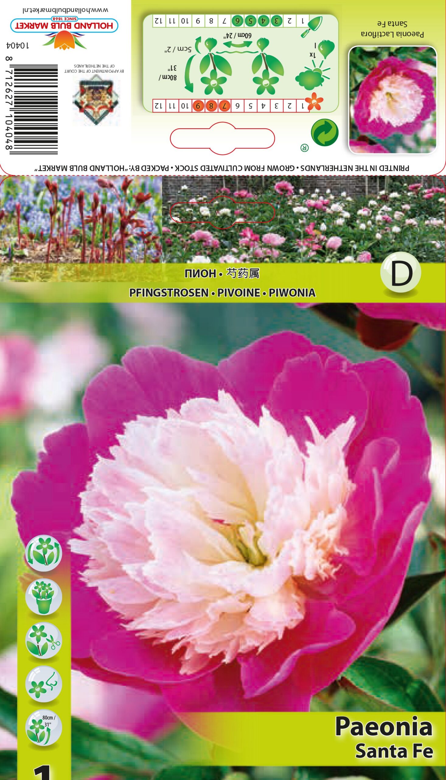 Pojeng Santa Fe 1 tk