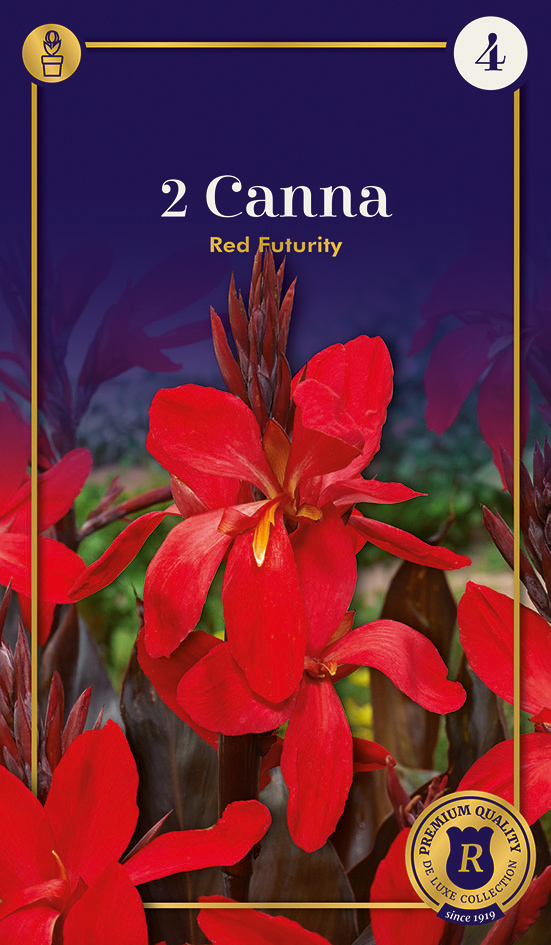 Kanna Red Futurity 2 tk