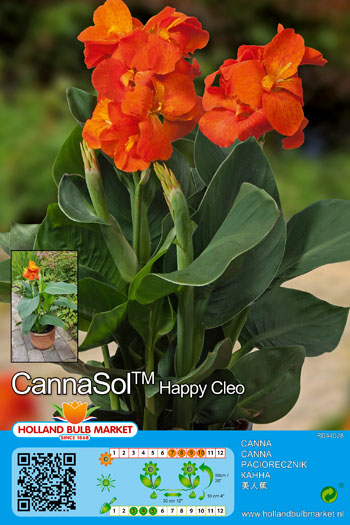 Kanna Cannasol Happy Cleo 1 tk