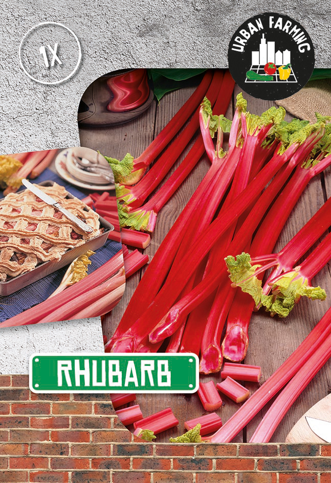 Rabarber 1 tk