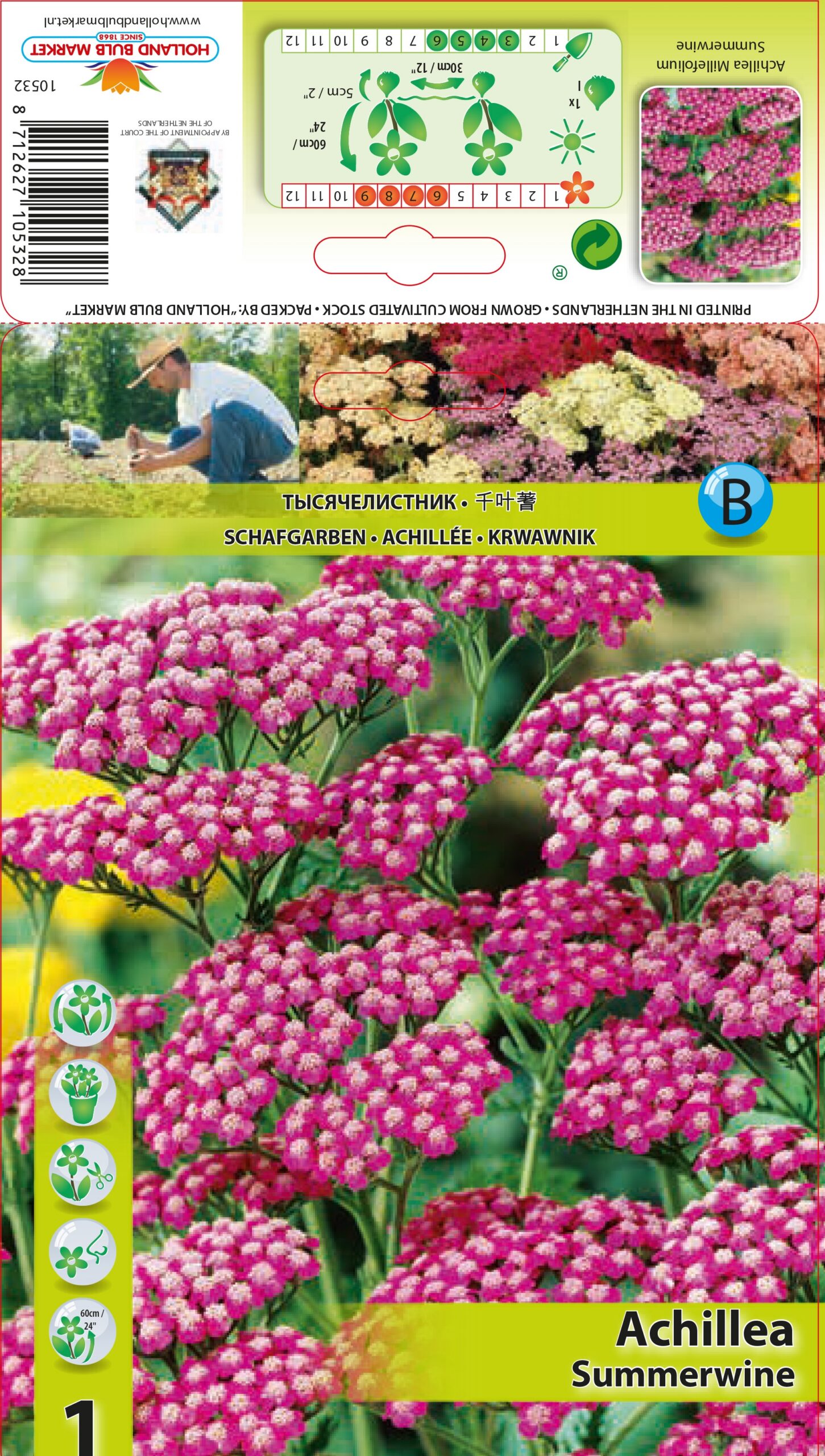 Raudrohi Summerwine 1 tk