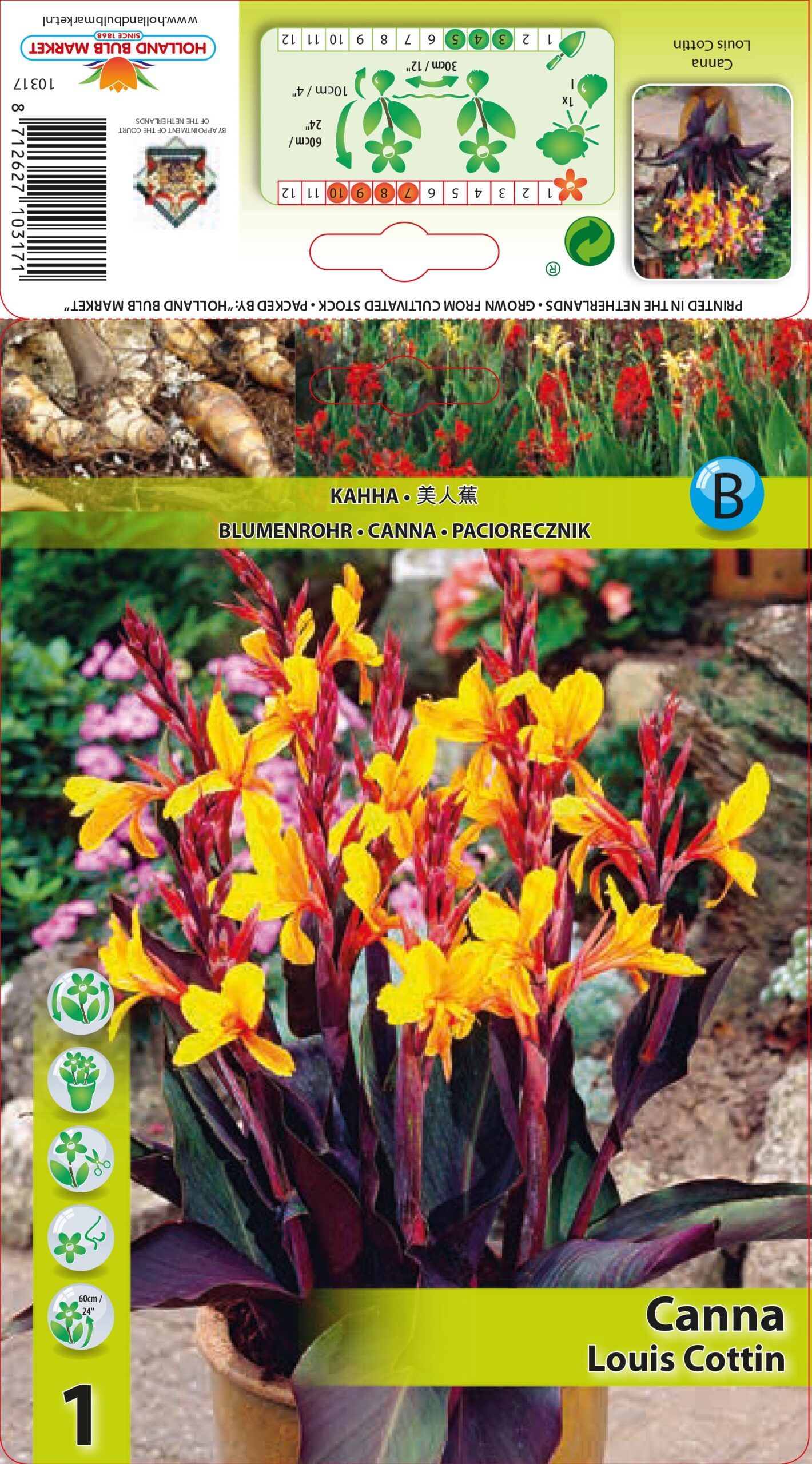 Kanna Louis Cottin 1 tk