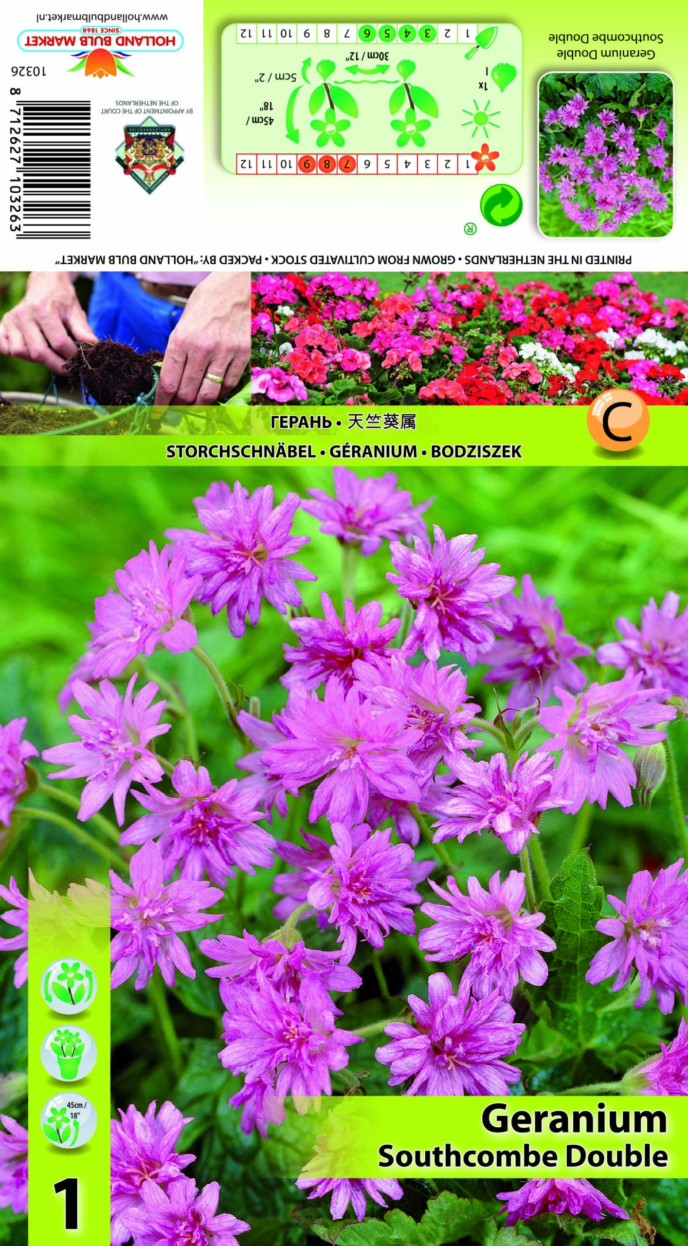 Oksfordi kurereha Southcomble Double 1 tk