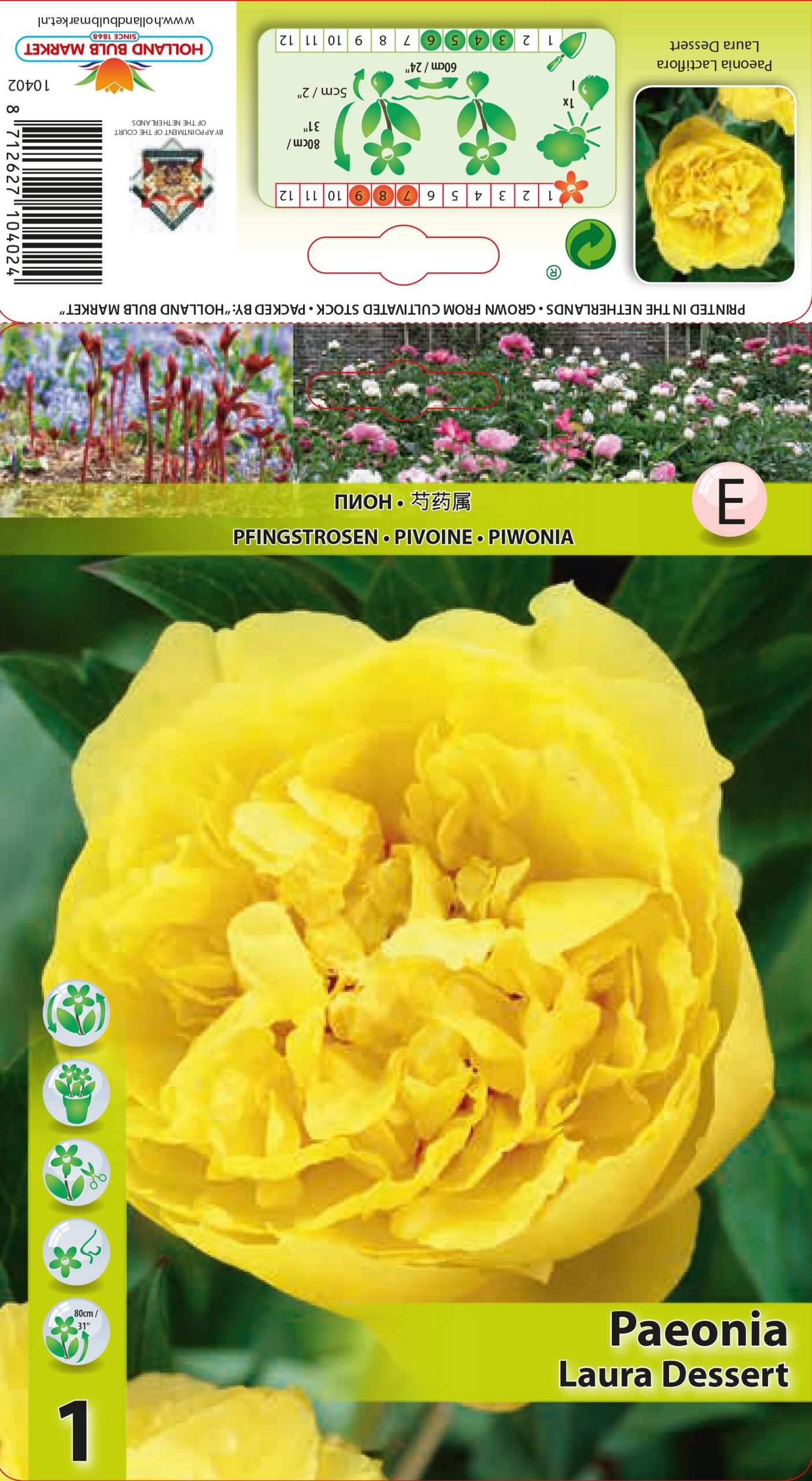 Pojeng Laura Dessert 1 tk