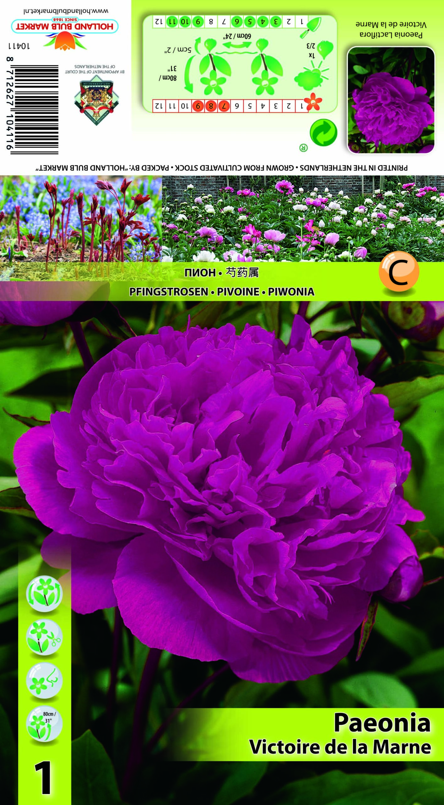 Pojeng Victor de la Marne 1 tk