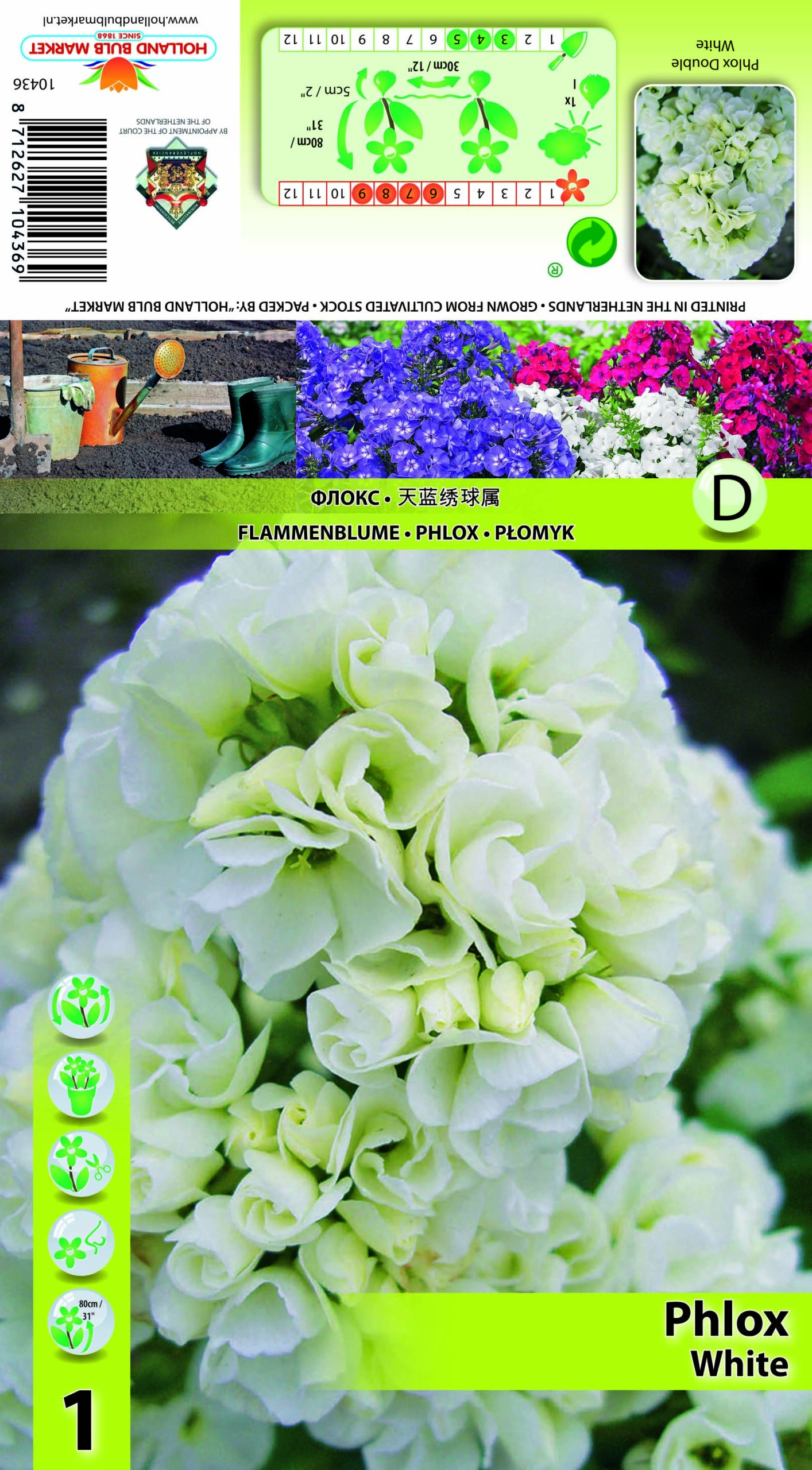 Floks Double White 1 tk