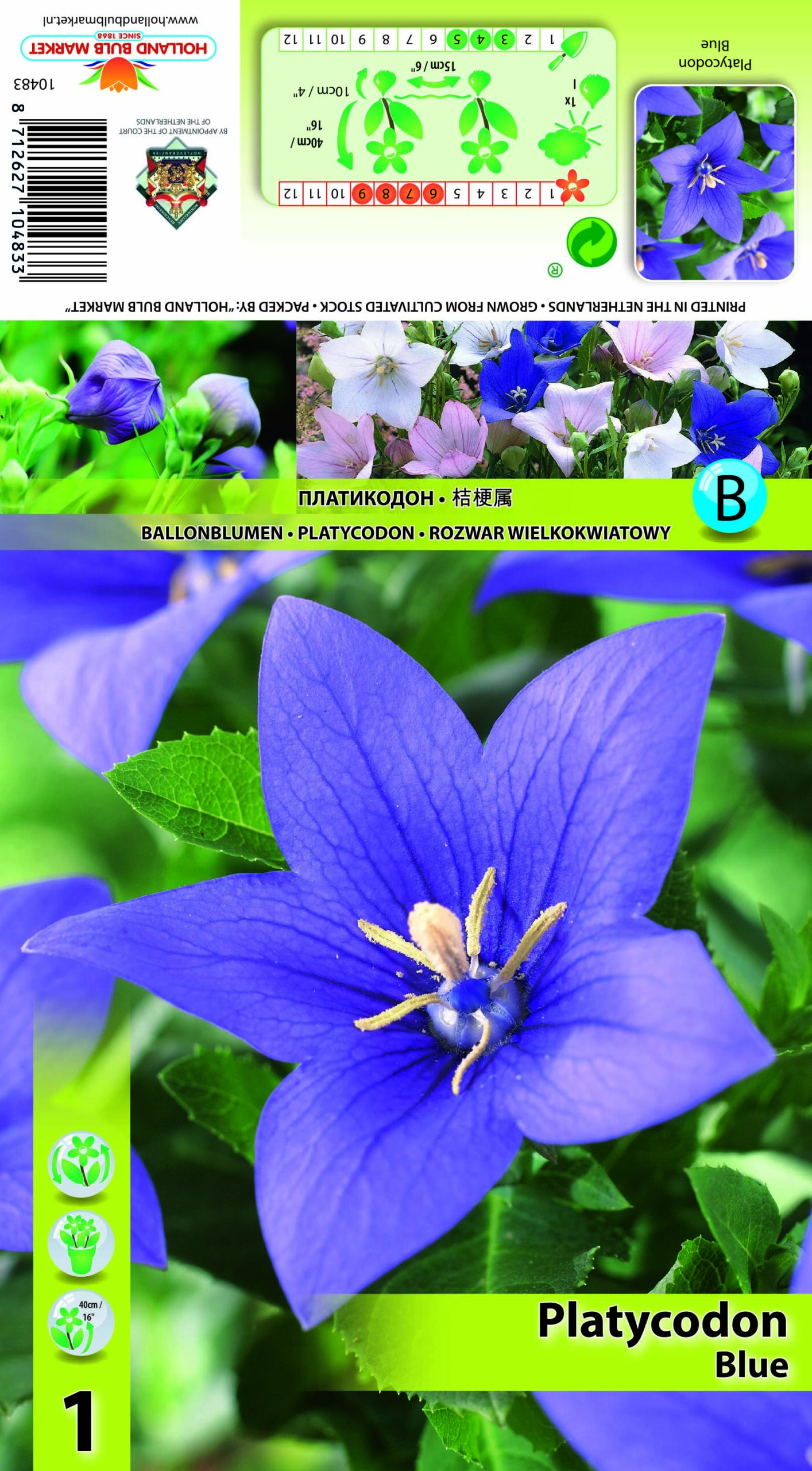 Laikellukas sinine 1 tk