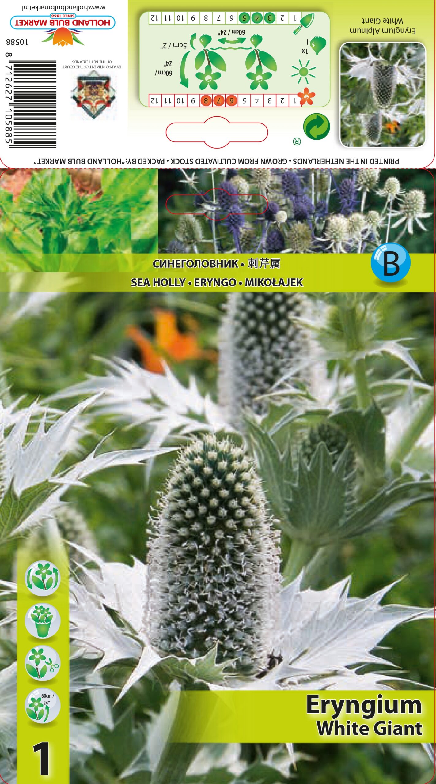 Hiid-ogaputk White Giant 1 tk