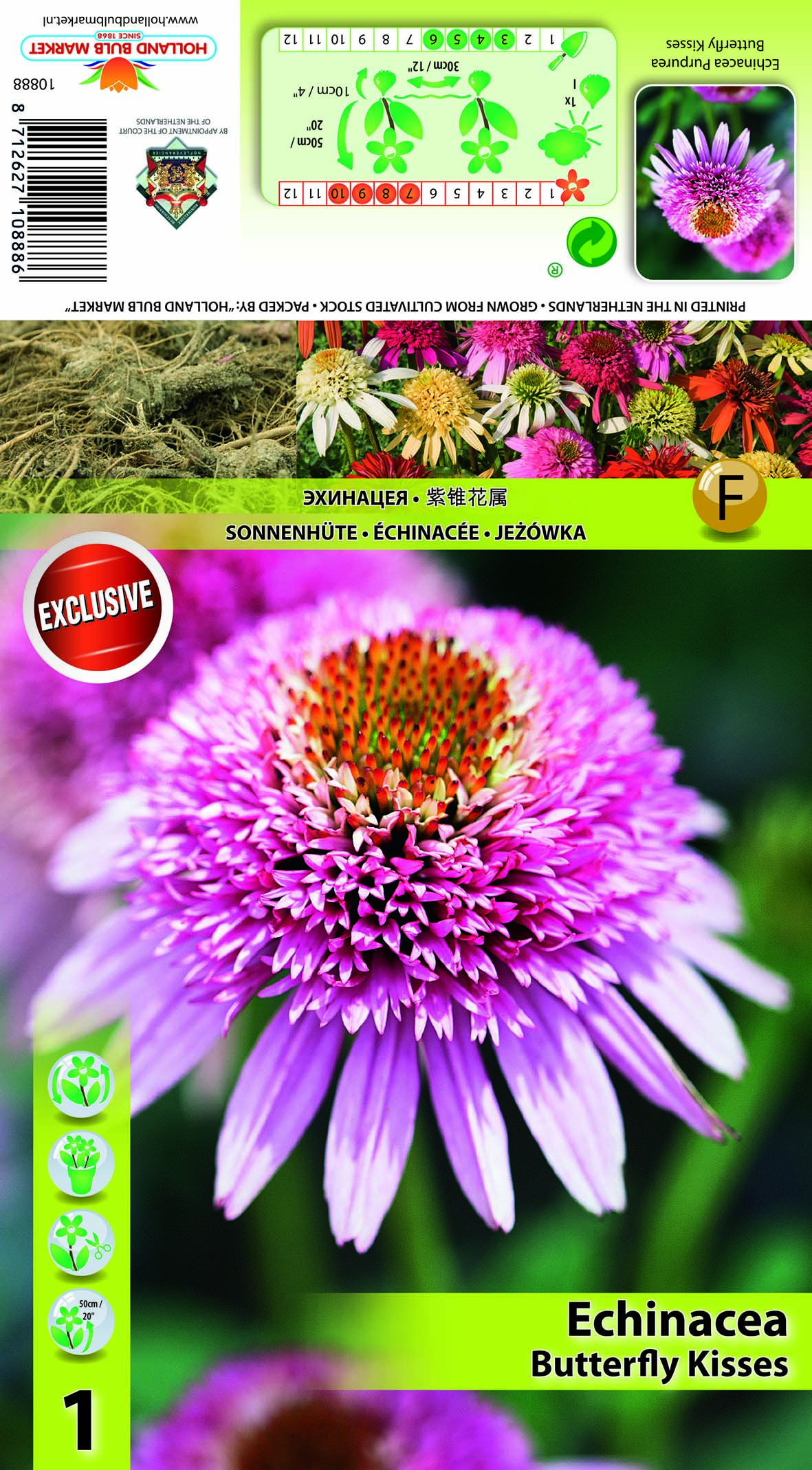 Siilkübar täidisõieline Butterfly Kisses 1 tk